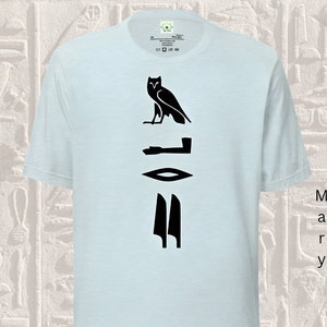 Custom Hieroglyph T-Shirt Authentic Ancient Egyptian Hieroglyphics T-Shirt Your Name or Word Custom Egypt T-Shirt Personalized Egypt Gifts