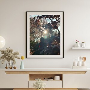 May include: A framed photograph of a tree with pink blossoms and leaves, backlit by the sun. The sun is shining through the branches, creating a warm glow.