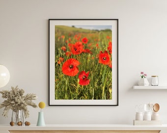 Digital Download Beautiful Nature Photography Poppy Fields in Kent. Poppies/Flowers/Countryside  Printable download