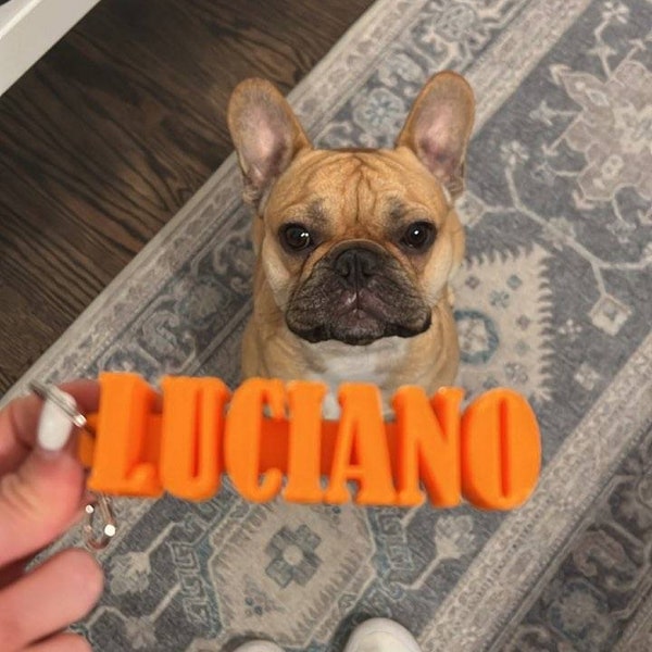 Customized Flexible Large Keychain - 3D Printed for Name, Dog Name, Backpack Tag, Sports Bags