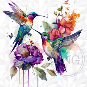 Watercolor Hummingbirds Sublimation Design, Hummingbirds PNG, Hummingbirds Sublimation Digital Instant Download, Hummingbird Clipart PNG
