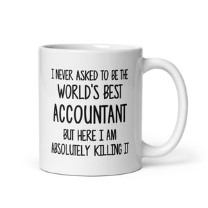 Accountant Gift Mug, Gift for Accountant, Fun Coffee Cup for Accountant, Best Accountant Gift, Accountant Coffee Mug, Fun Mugs, Accountant