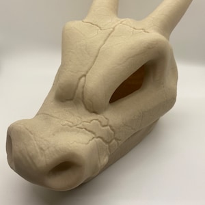 9” Charizard Skull