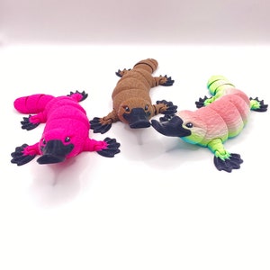 Platypus