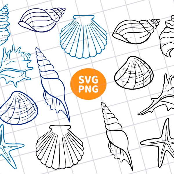 shell line art digital clipart, shell line drawing, shell svg, shell png, shell boho,summer shell, starfiksh, shell printable, shell die cut