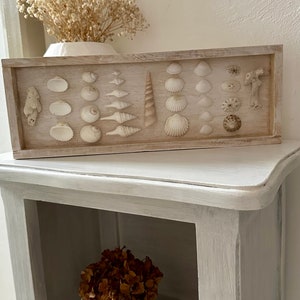 Decorative frame with shells