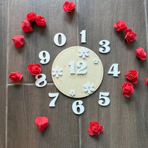 Marcador de hitos mensuales para bebés, tarjetas de hitos para bebés de 1 a 12 meses, discos de madera con hitos mensuales en forma de flor, letreros de mes personalizados para bebés en acrílico