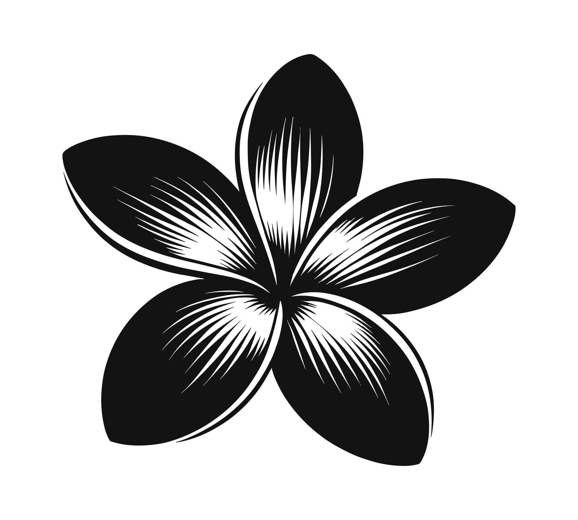 Plumeria Svg, Frangipani Svg, Hawaiian Svg, Plumeria Paper Design