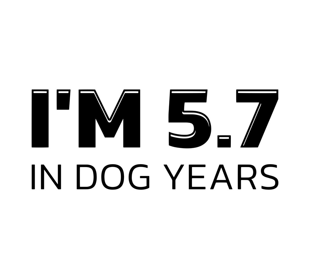 i-m-5-7-in-dog-years-svg-funny-40th-birthday-svg-40-year-etsy