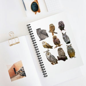 Personalized Owls Wire bound Spiral Notebook Bird Notebook Owl Notebook Bird Lovers Notebook Birdwatchers Notebook Owl Lover Notebook Lines