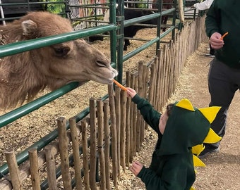 Sudadera con capucha de dinosaurio verde para niños con púas amarillas, sudadera de dinosaurio verde bosque, vestido de dinosaurio