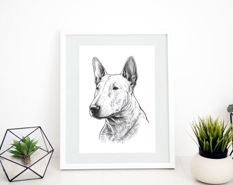 Chien Bull Terrier (Pack d'images 01) | TÉLÉCHARGEMENT NUMÉRIQUE | Paquet d'images