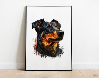 Chien Beauceron | Portrait 06 du pack d'images 02 | TÉLÉCHARGEMENT NUMÉRIQUE