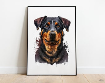 Beauceron | Portrait 07 (Pack photos 01) | Téléchargement numérique