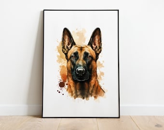 Belgian Malinois Dog | Portrait 08 aus Picture Pack 02 | DIGITAL DOWNLOAD