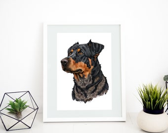 Beauceron Dog (Picture Pack 01) | DIGITAL DOWNLOAD | Bildpaket
