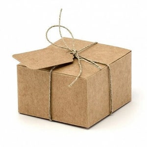 Piccole scatole Kraft fai-da-te con etichette, Set di 10, Scatole Kraft, Tag Kraft, Scatole di carta fai-da-te, Scatole per matrimoni rustiche, Boho Wedding, Crafting Boxes,