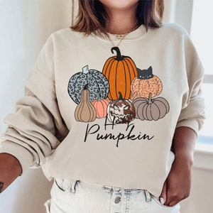 May include: Beige sweatshirt with a graphic of pumpkins in orange, leopard print, and blue leopard print. The text "Hello Pumpkin" is written in black script below the pumpkins. A seasonal autumn design.