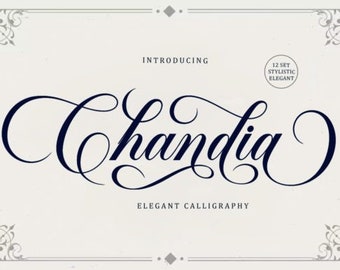 Chandia Font, Modern Font, Handwritten Font, Personal Display Font, Calligraphy Font, Elegant Font, Procreate Font, Logo Font