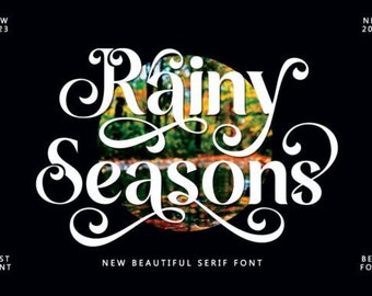 Rainy Seasons Font, Modern Font, Handwritten Font, Personal Display Font, Calligraphy Font, Elegant Font, Procreate Font, Logo Font