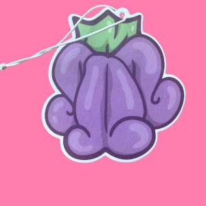 Crown Flower, Car Freshie | Hawaii Freshener | Hanging Air Freshener