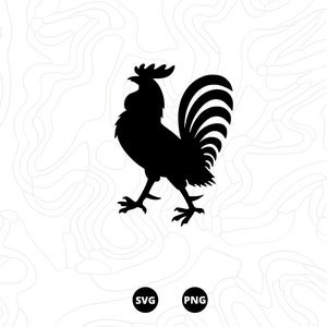 SVG gallina, SVG animali, file SVG, Scarica, png, svg digitale