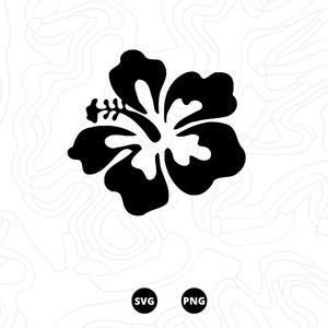 Ibisco SVG, SVG Fiore, File SVG, Scarica, png, svg digitale