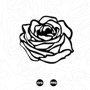 Rosa SVG, SVG Fiore, File SVG, Scarica, png, svg digitale