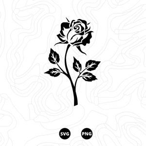 Rosa SVG, SVG Fiore, File SVG, Scarica, png, svg digitale