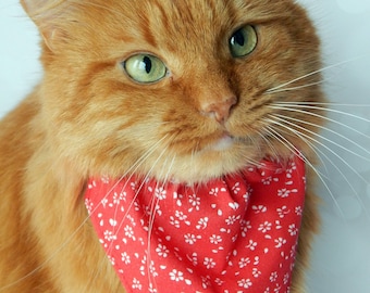 Cat Collar Bandana, Red Flower Bandana