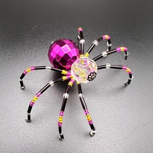Hot Pink and Black Spider