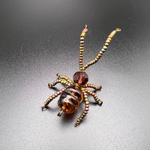 Little Brown Beaded Bug with Big Antennae