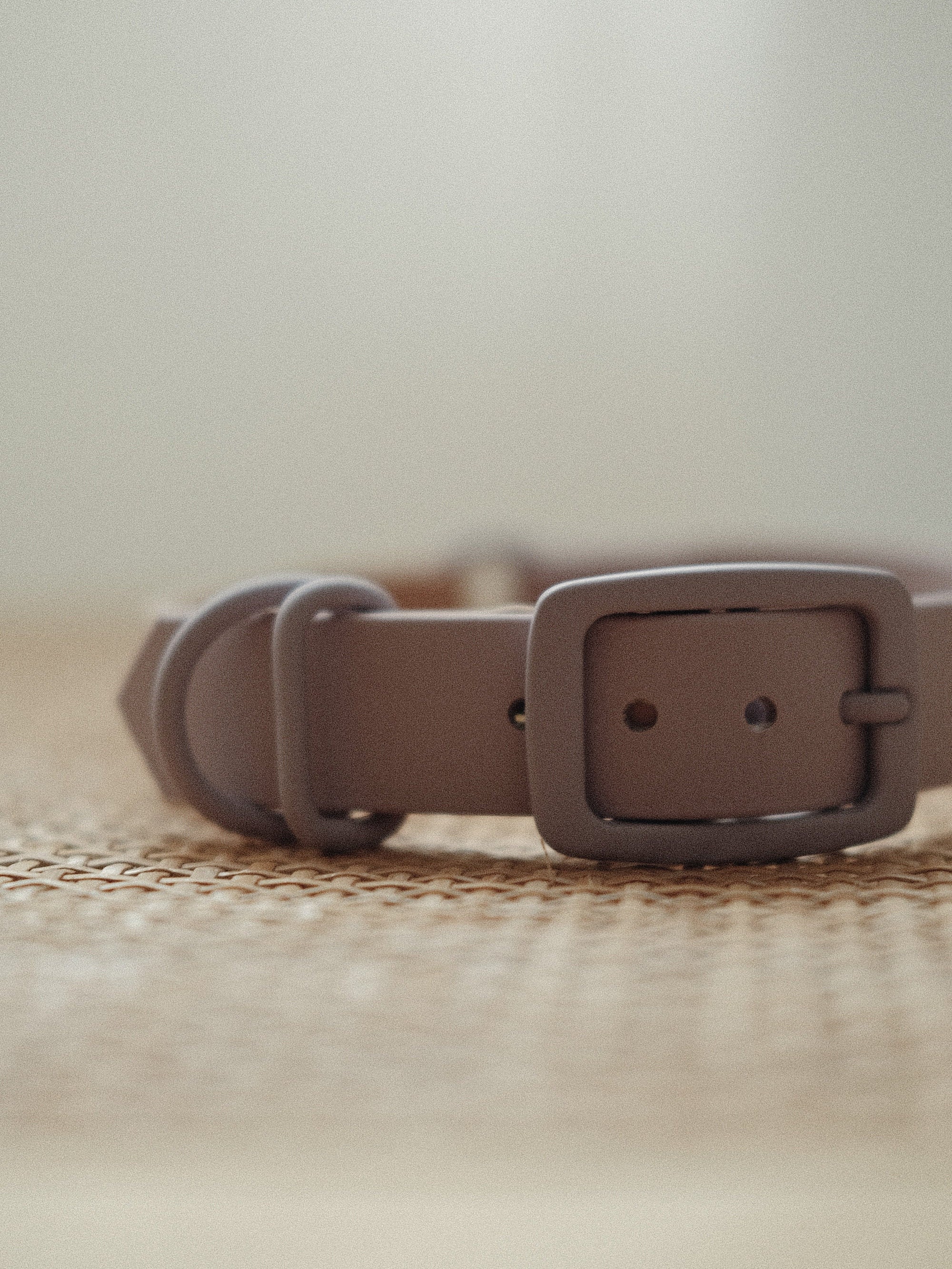 Biothane Dog Collar | 25mm | pastel | purple | beige