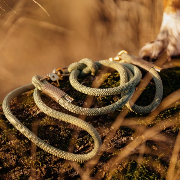 Dog leash | Avocado green | Tauleine