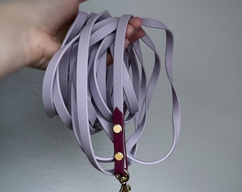 Dog leash | Retractable leash | Pastel purple | small dogs | Biothane |