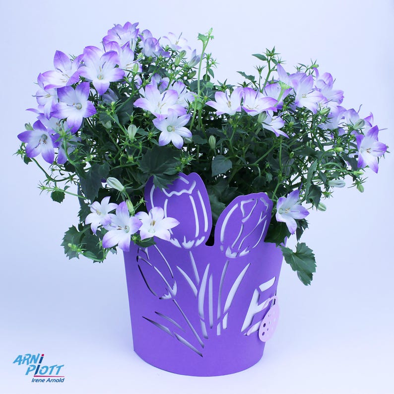 Op de afbeelding: Een paarse plantenpot met een tulpenontwerp, gevuld met een bloeiende plant met lichtpaarse bloemen. De pot heeft een klein roze label met een lieveheersbeestje-ontwerp.