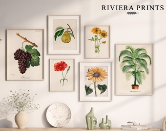 Vintage Botanical Prints | Floral Watercolor Paintings Gallery (Digital Download)