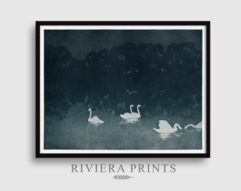 Schwanensee Gemälde | Moody Swans Kunst (Druckbare Grafik)