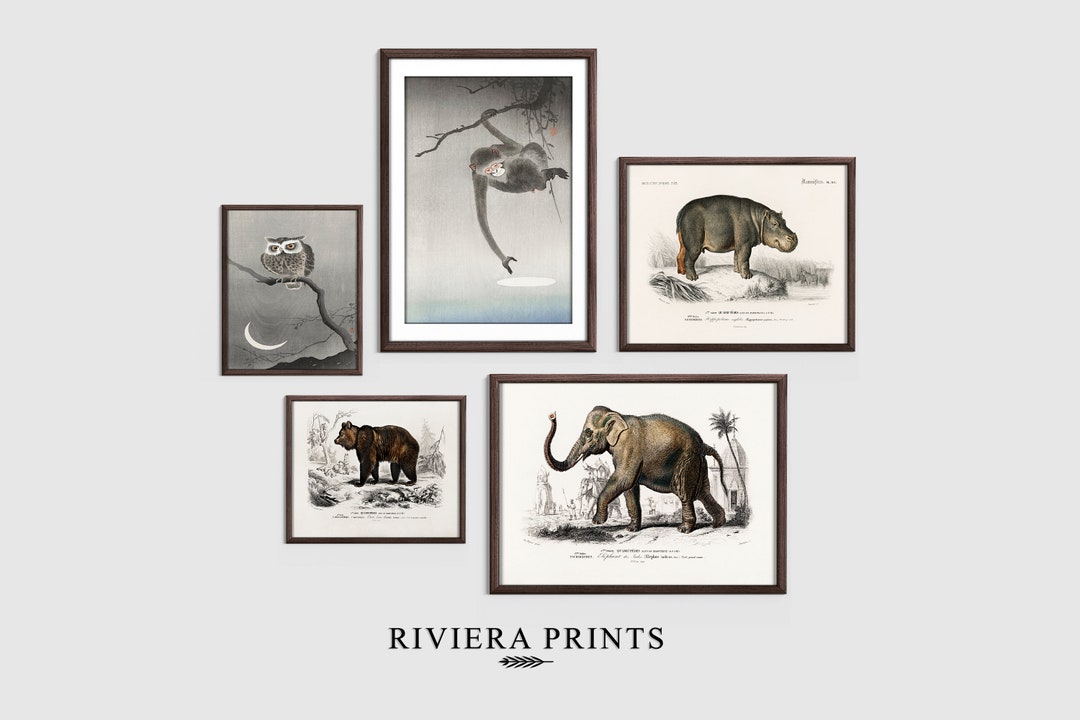 Vintage Animal Wall Prints GALLERY Art Woodland Nursery Art Decor