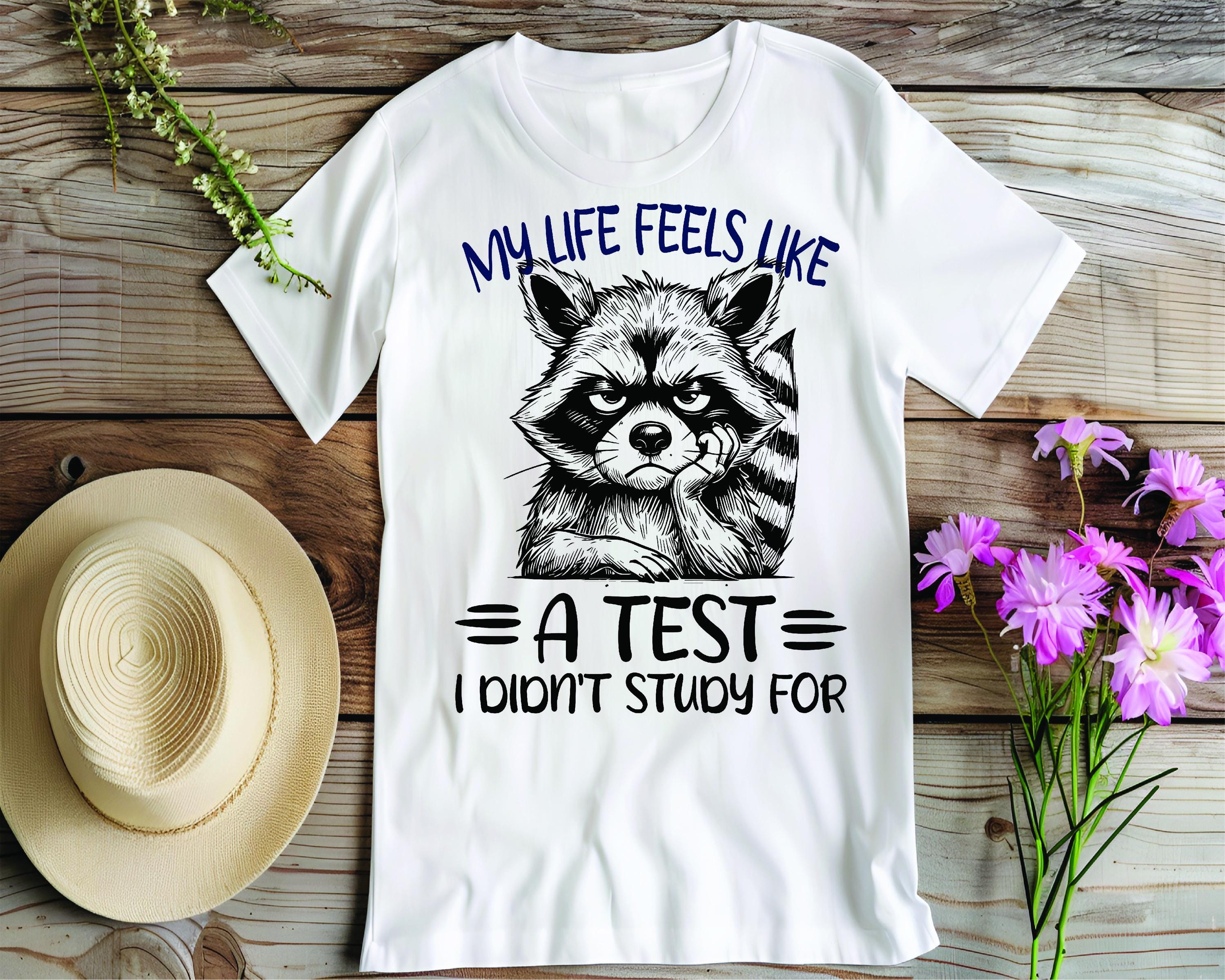Funny Raccoon 'life is A Test' Design (SVG, PNG, EPS) - Etsy
