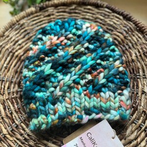 Hand Knit Fall Winter Beanie for Infant  Baby Toddler in Hand Dyed Merino Wool from Ireland.  SO soft! Pom can be added!
