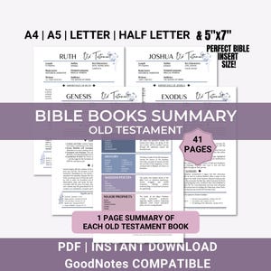 Books of The Bible Summary Recap, Printable Single Book Bible Summary Guide – Old Testament, Bible Study Tool, Bible Breakdown for Beginners