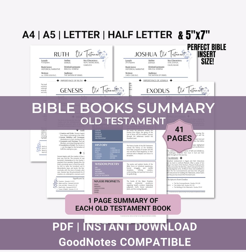 Books of The Bible Summary Recap, Printable Single Book Bible Summary Guide – Old Testament, Bible Study Tool, Bible Breakdown for Beginners