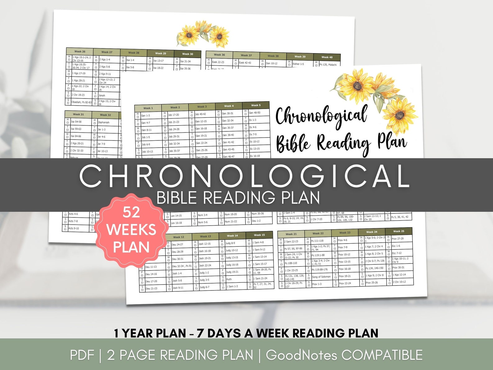 Chronological Order Bible Reading Plan, Bible in One Year Monthly ...