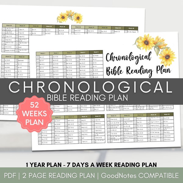 Bible Reading Plan, One year Chronological Bible Reading log, Bible Reading tracker, Bible journaling accessory, Christian planner