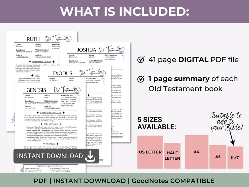 Resumen de los libros de la Biblia, resumen imprimible de un solo libro del Antiguo Testamento, herramienta de estudio bíblico, análisis de la Biblia para principiantes imagen 4
