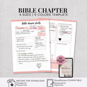 May include: A digital Bible chapter study template featuring two white pages with pink accents and black text. The layout includes sections for date, testament, book, chapter, main theme, key characters, definitions, background story, summary, and reflection.