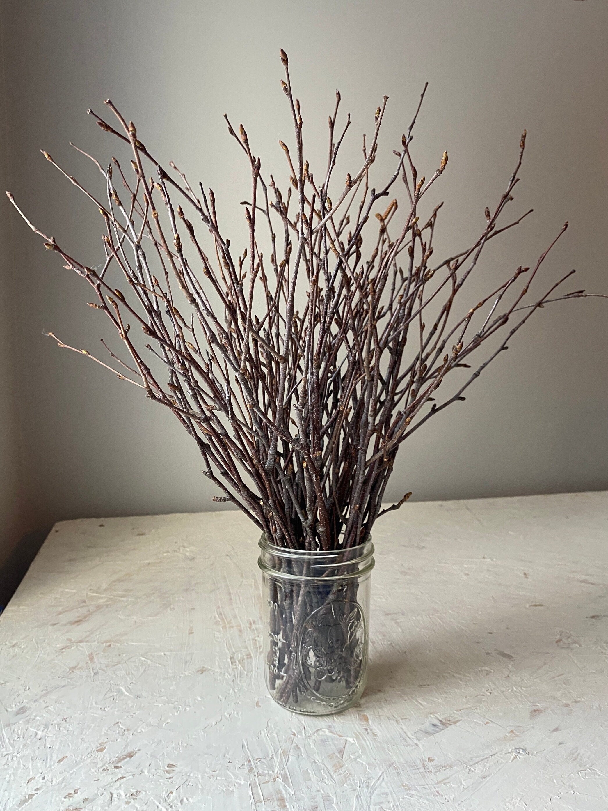 Dried Birch Twigs atelieryuwa.ciao.jp