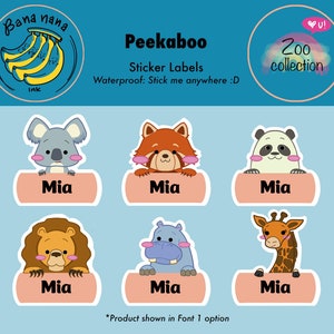 Etiquetas de nombre personalizadas / Pegatinas personalizadas / Etiquetas de nombre para niños / Etiquetas de nombre para niños / Etiquetas de nombre para guardería / Etiquetas de nombre para preescolar / Pegatinas para planchar