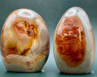 Polychrome Jasper Freeform – Natural Madagascar Jasper Crystal for Home Décor, Collectors, and Healing Energy